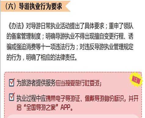 最新导游证，开启奇妙旅程之门