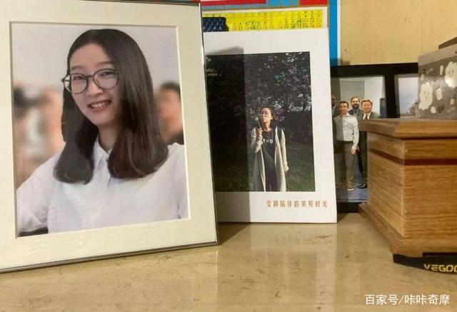 章莹颖最新情况更新,最新动态与进展