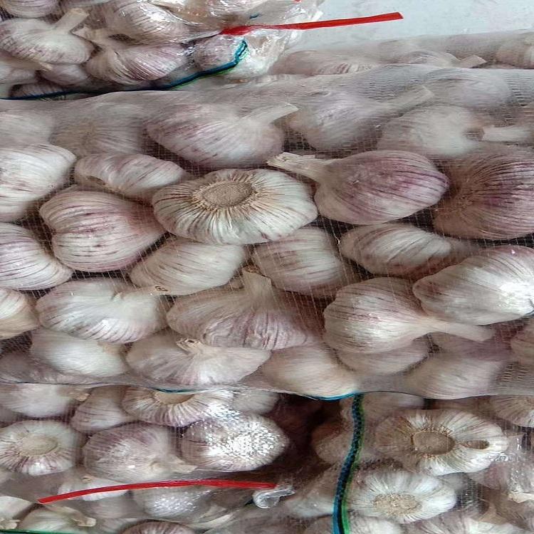 今日苍山大蒜最新价格,绿色旅行中的内心平静探寻