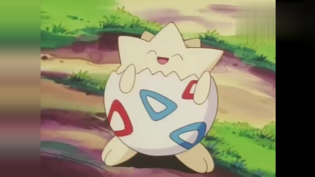 宠物小精灵最新一部,新篇章的冒险与成长之旅