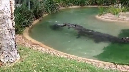 草溜社区最新地址,时代印记与发展脉络的融合之地