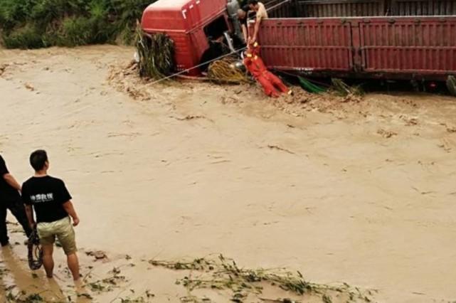 陕西小麦今日最新价格更新🌟