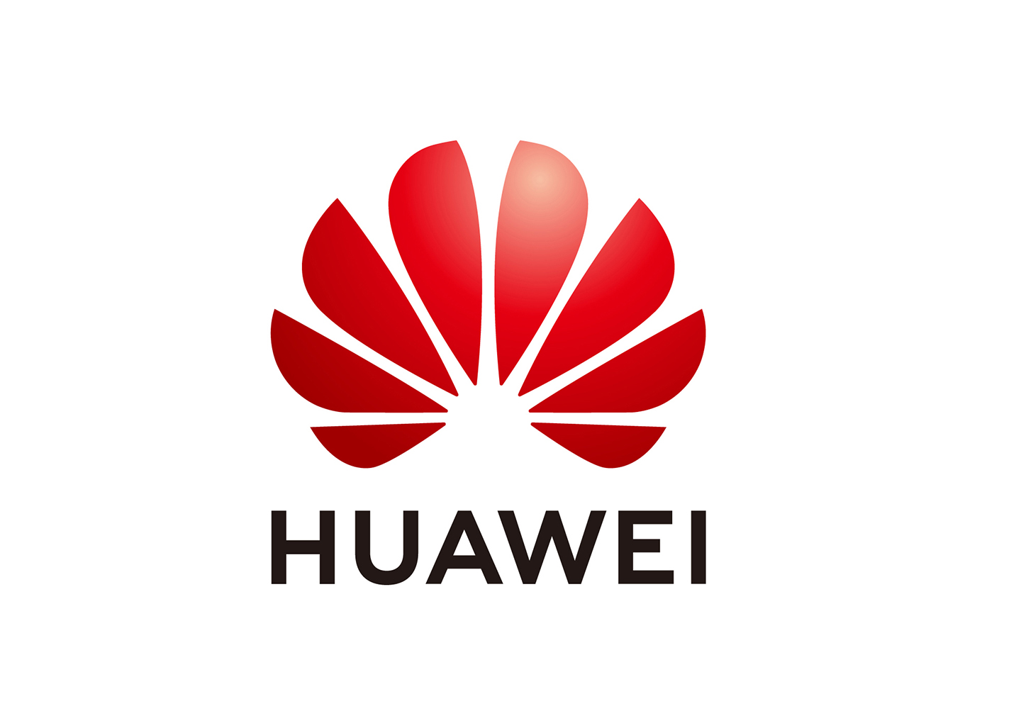 华为最新Logo揭秘,小巷深处的隐藏瑰宝