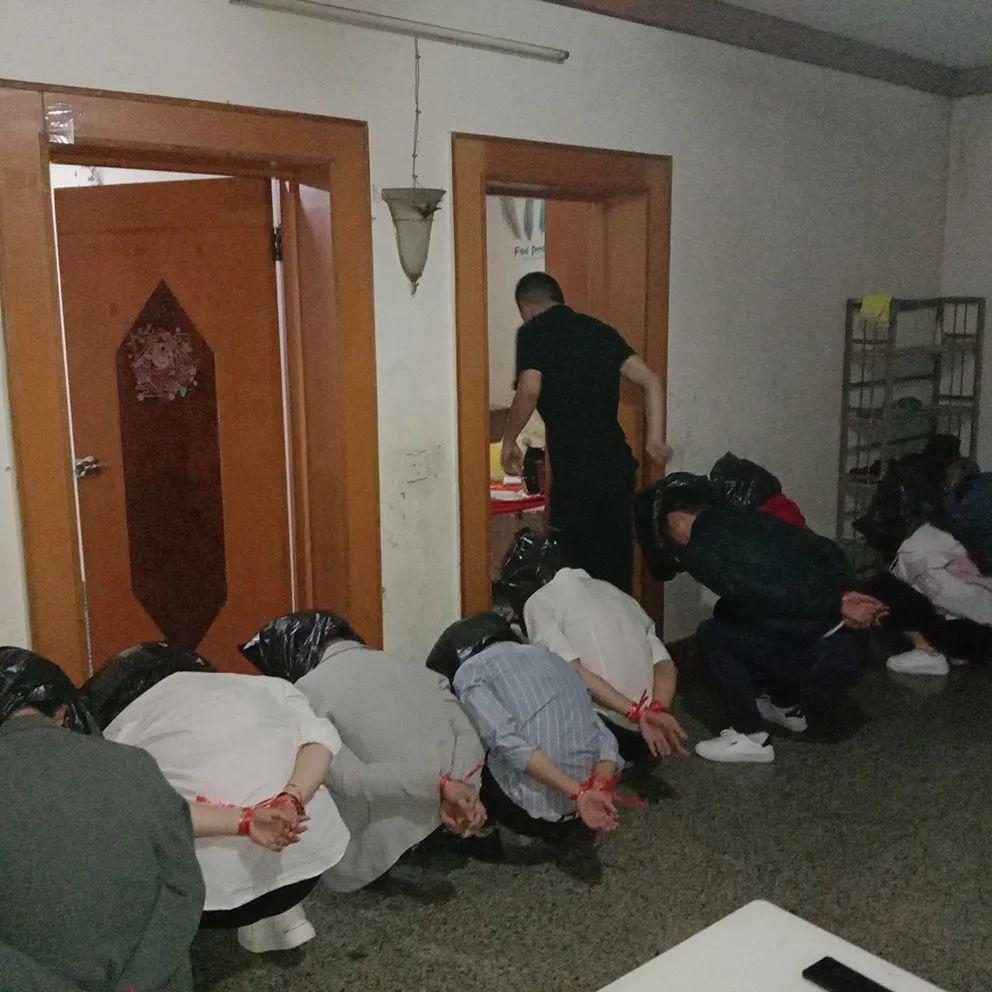 最新网络交友,连接世界,探索自我,共同学习与成长