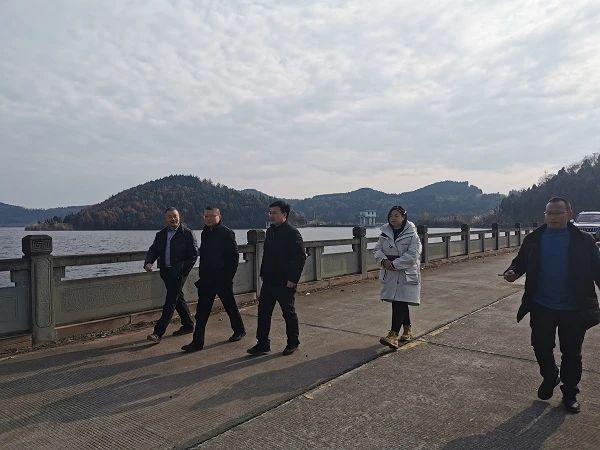 中江最新新闻多维视角分析报道