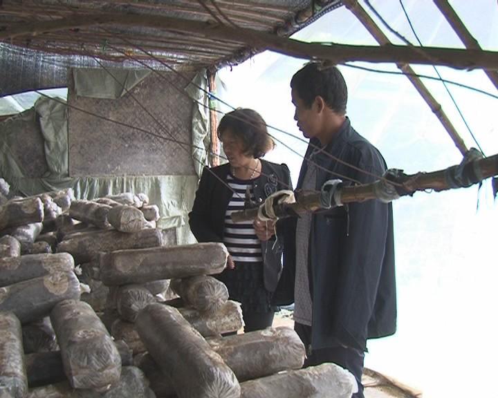 西峡最新车祸事件深度分析与个人观点观察