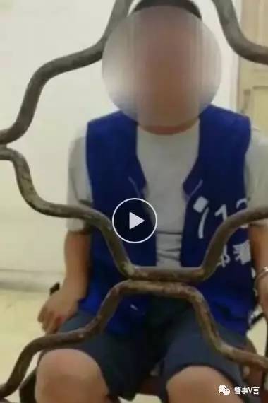 邳州郯城最新动态揭秘,时代脉搏下的协同发展进展