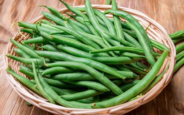 豆角价格最新行情,智能监控洞悉市场脉动