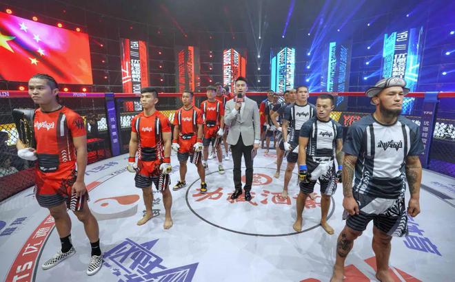 武林笼中对新动态,聚焦三大要点深度探讨热门话题