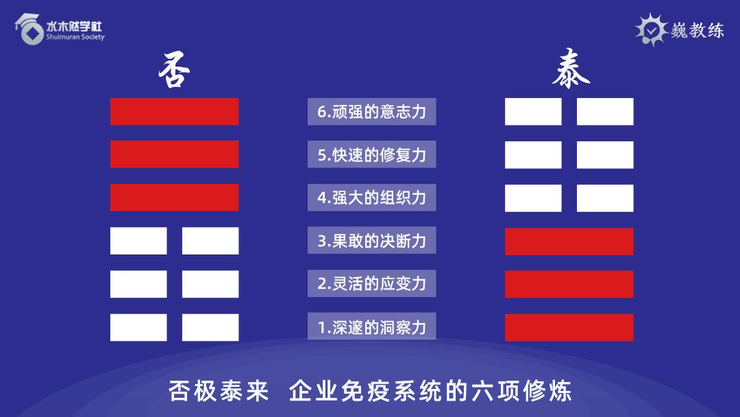 疫情易经最新论述,最新分析与探讨