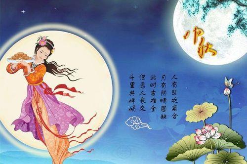 探索诗意与圆满交融之美,诗月圆最新之美谈