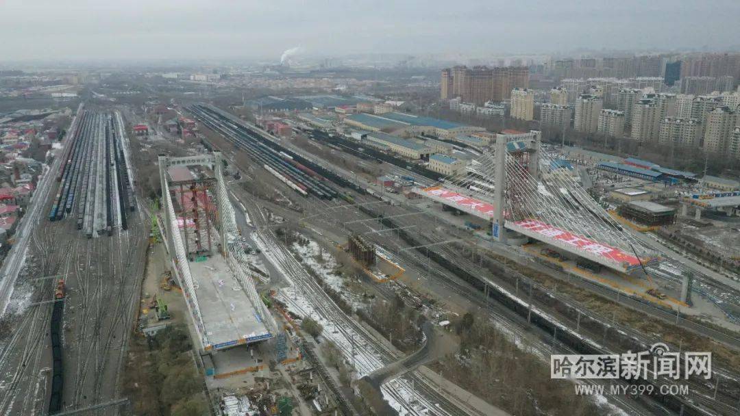 哈西的奇妙日常,友情、欢笑与家的温馨时刻