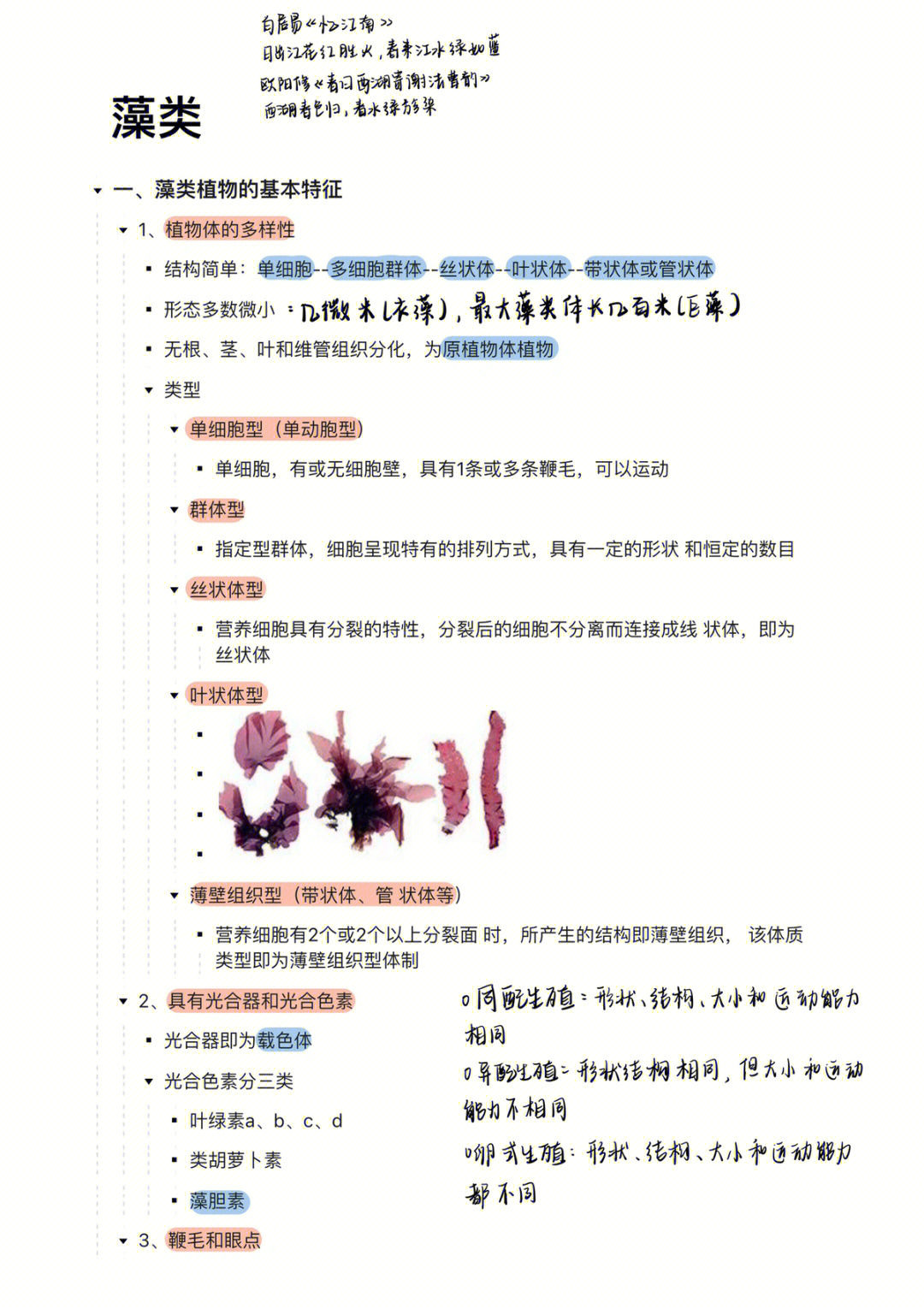 最新藻琼,自然与人类关系的热议焦点