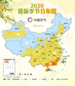 酸雨最新分布，小巷深处的绿色秘境与独特小店的探索