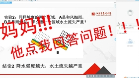 小巷深处的独特时光,上网课之余的特色小店探索