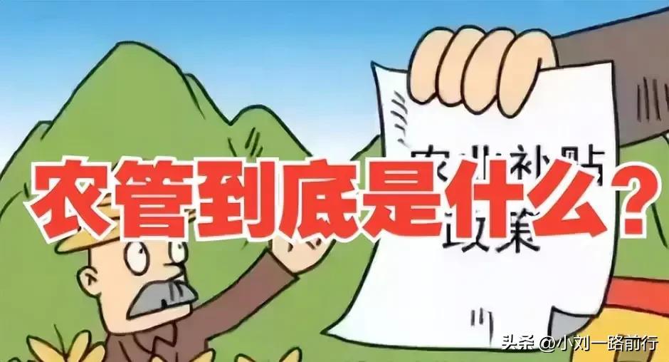 时代变迁下的农业繁荣与乡村振兴,最新农业农村发展概述