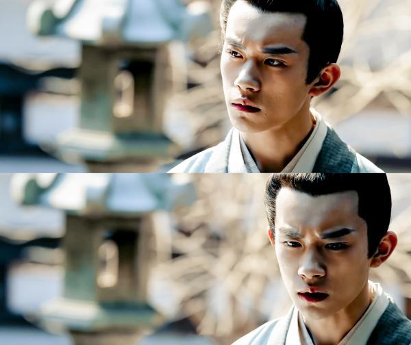 探索时代潮流下的独特阅读体验,路人书最新书评分享