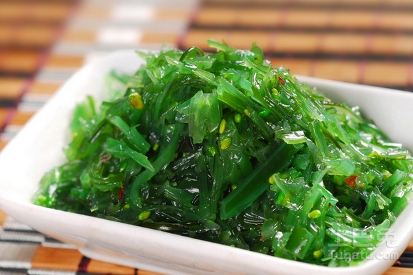 最新海藻,高科技产品深度解析