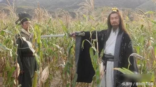瞄准最新集,科技、内容与社会的交汇点深度解析