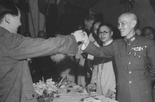 林园最新动向深度解析与观点阐述,最新动态及影响探讨