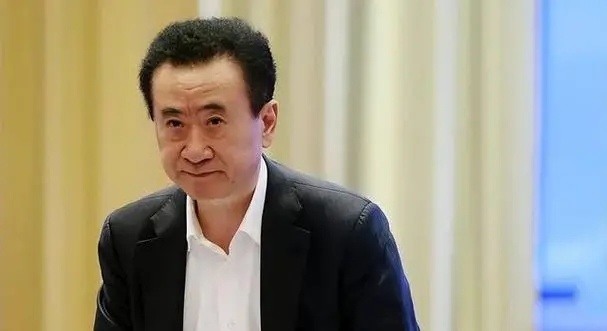王健林亲临合肥,深度解读其影响及意义