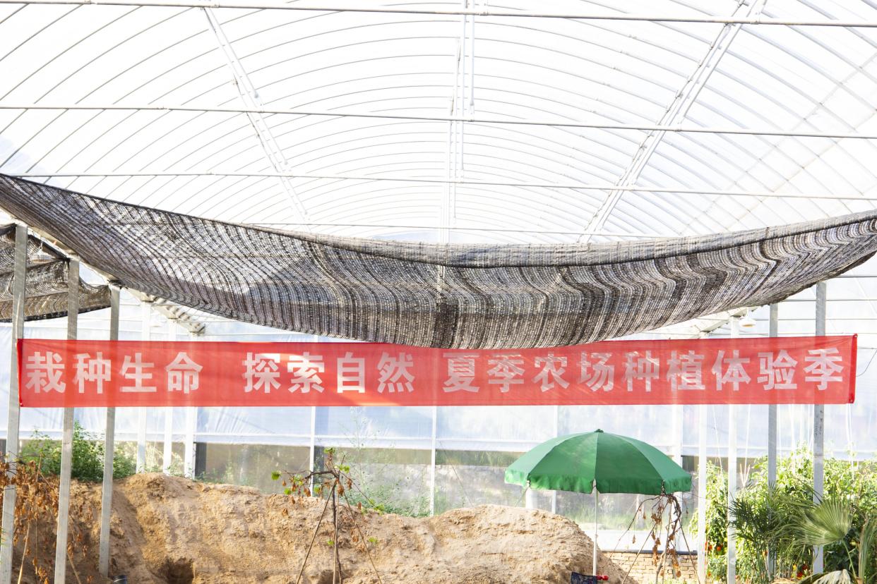 镇城底矿最新发展论述,探索前沿技术与持续进步之路