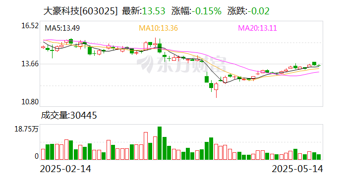大豪科技股票最新动态分析,探索股市行情与未来展望