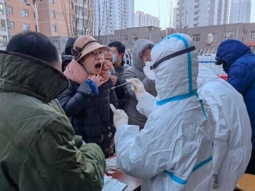 河北学校最新通知发布,小巷深处的独特风味小店等你来探索!