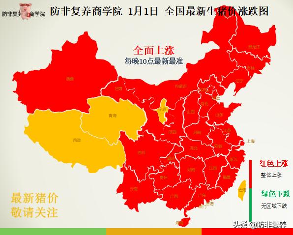 中国最新生猪价格揭秘,巷弄深处的猪肉宝藏