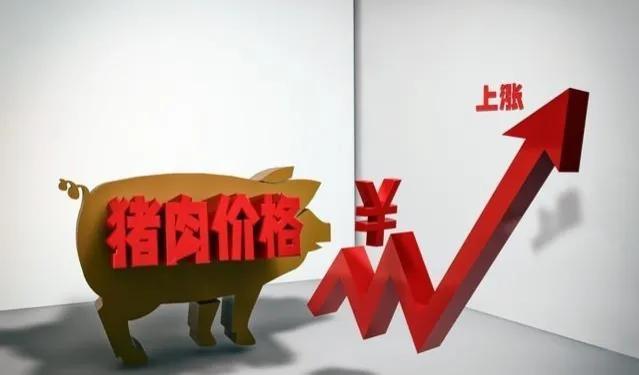 中国最新生猪价格揭秘,巷弄深处的猪肉宝藏