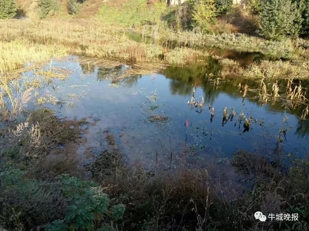 王快村最新新闻,乡村变迁的深度论述