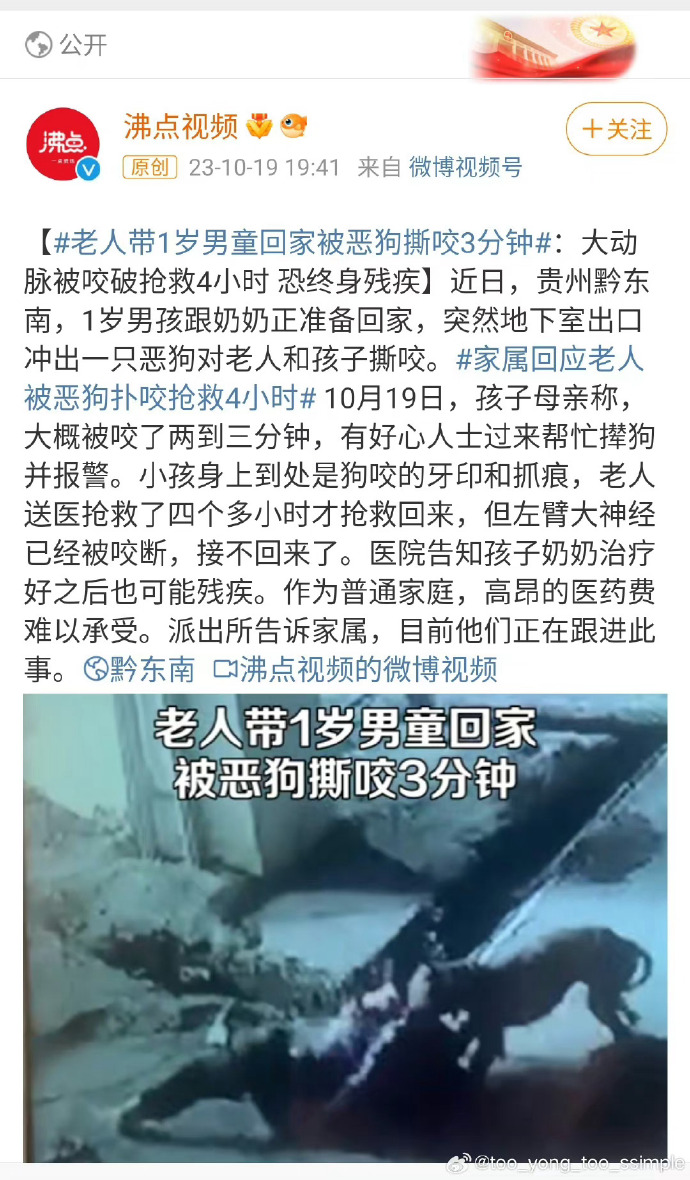 狗绳绊倒老人事件处理步骤指南,最新情况及应对建议(适用于初学者与进阶用户)