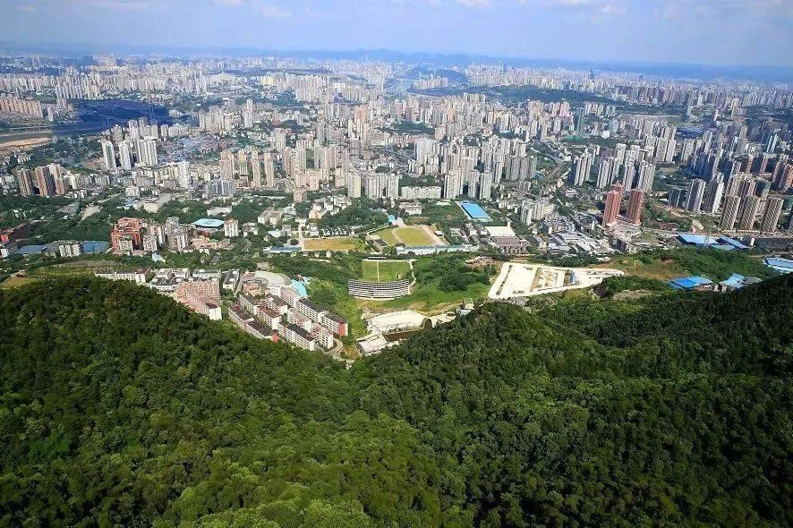 深度解读,最新四张牌的背景、重要事件与地位