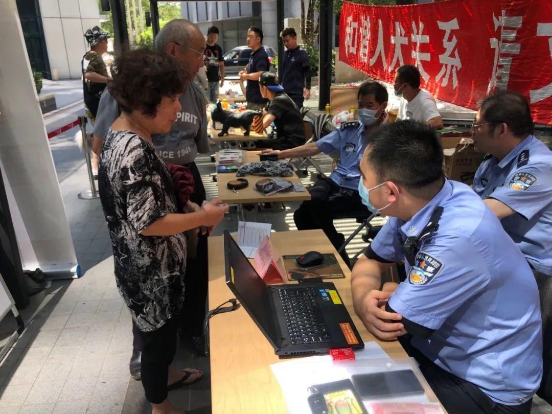 文明养犬新动态,励志之旅中的自信与成就感提升之路