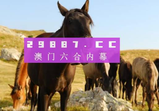 澳门管家婆一肖一码一中一开,时代变革评估_GFL79.946创意版