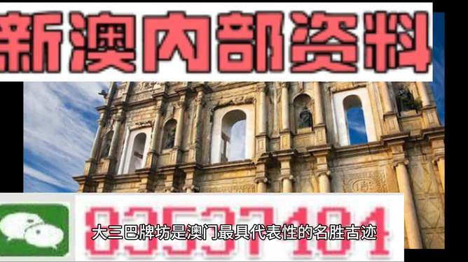 2024新澳免费资料大全精准版,多元化诊断解决_DZF79.852并发版