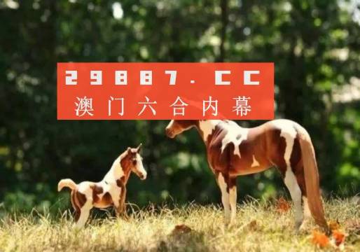 2024澳门跑狗图最新版今天104,全方位展开数据规划_UXE9.917增强版