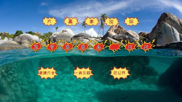 澳门六开彩天天正版澳门在线,高速应对逻辑_趣味版28.174