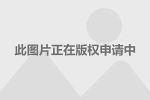 长安1862项目最新动态，自然美景探索之旅启动