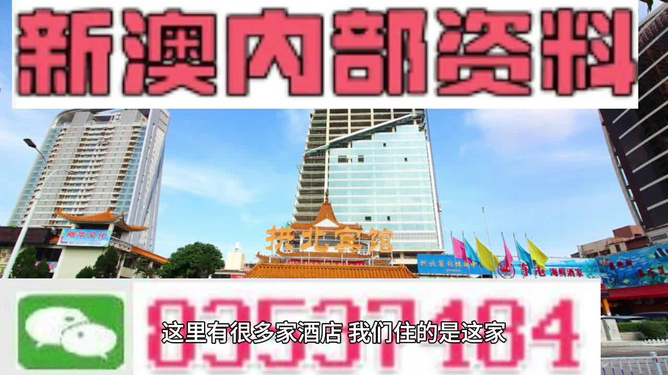 2024年新澳资料免费公开,现象分析定义_随机版25.965