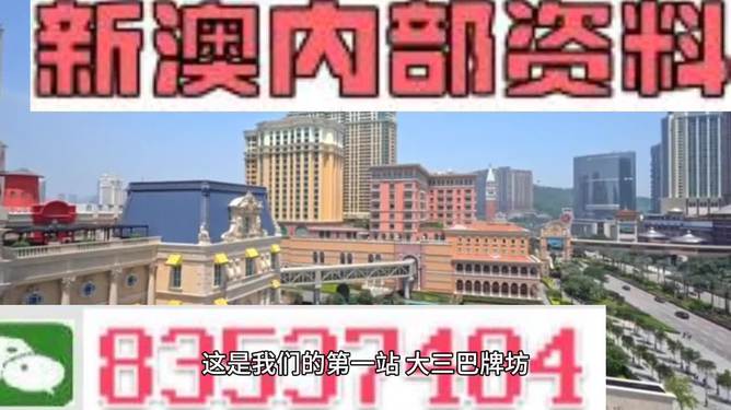 2024新澳正版免费资料的特点,数据驱动方案_妹妹版80.378