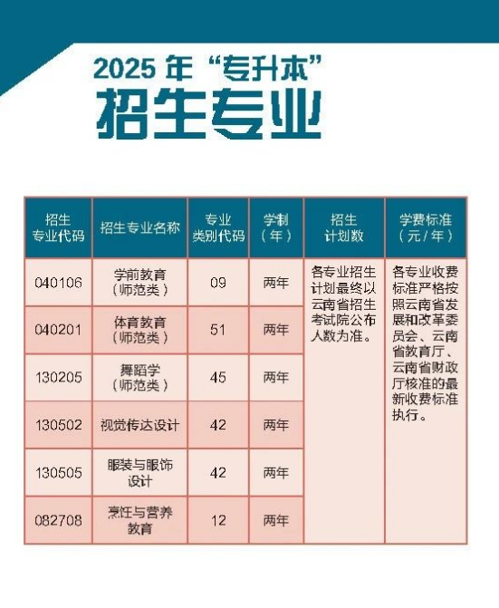 最新专升本学校推荐，小巷中的特色小店，奇妙之旅开启！