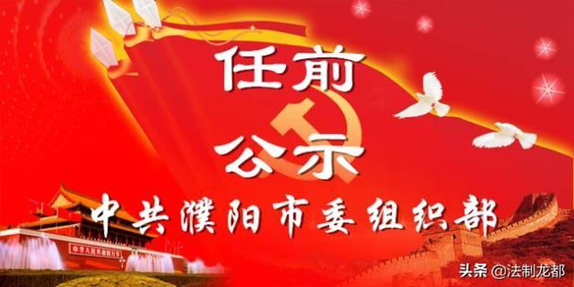 濮阳市干部任免信息详解，任免流程与步骤指南