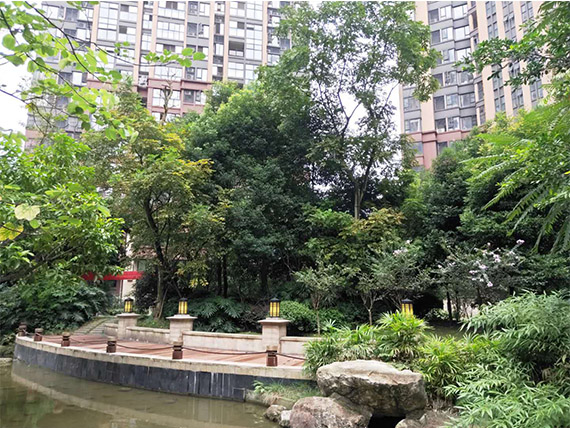 温江玺龙湾最新住宅价格揭秘，全面概览住宅市场趋势