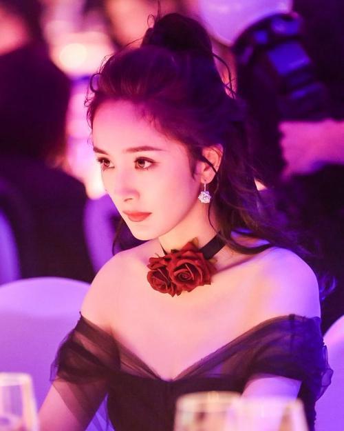 娱乐圈明星的职业与生存状态,明星有饭背后的真实观察