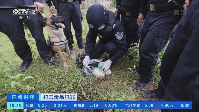 最新缉毒新闻，现状与挑战的较量