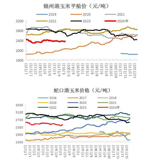 今日港口玉米最新价格详解及购买指南