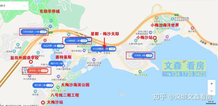 盐田最新动态，欢乐时光在盐田边延续