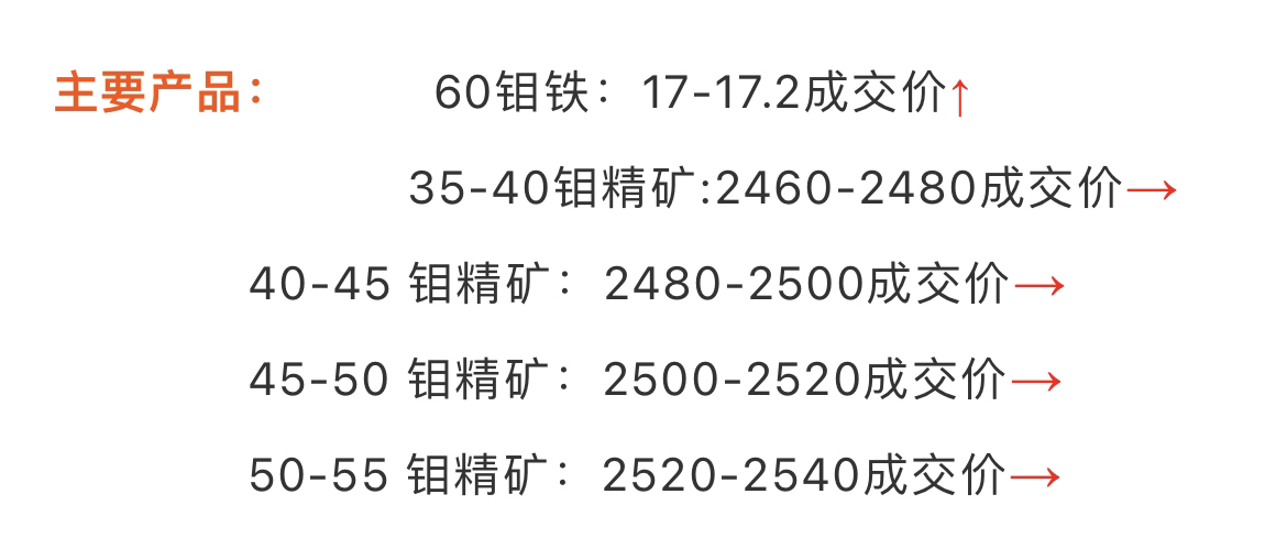 今日钼铁价格揭秘，一段友情的温馨陪伴之旅
