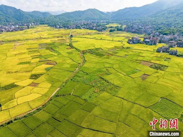 岑溪最新航拍，飞翔的奇遇与家的温馨画卷